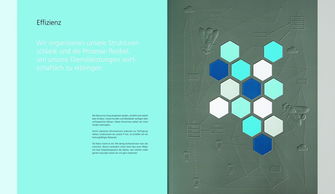 SRH控股2013年度報告畫冊設計分享 - 上海畫冊設計公司與軟件開發協同創新